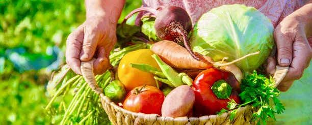 【子育て×オーガニック・ヴィーガン】食品添加物が気になる親へ～家族で始めるやさしい選択～style table 吉祥寺パルコ店